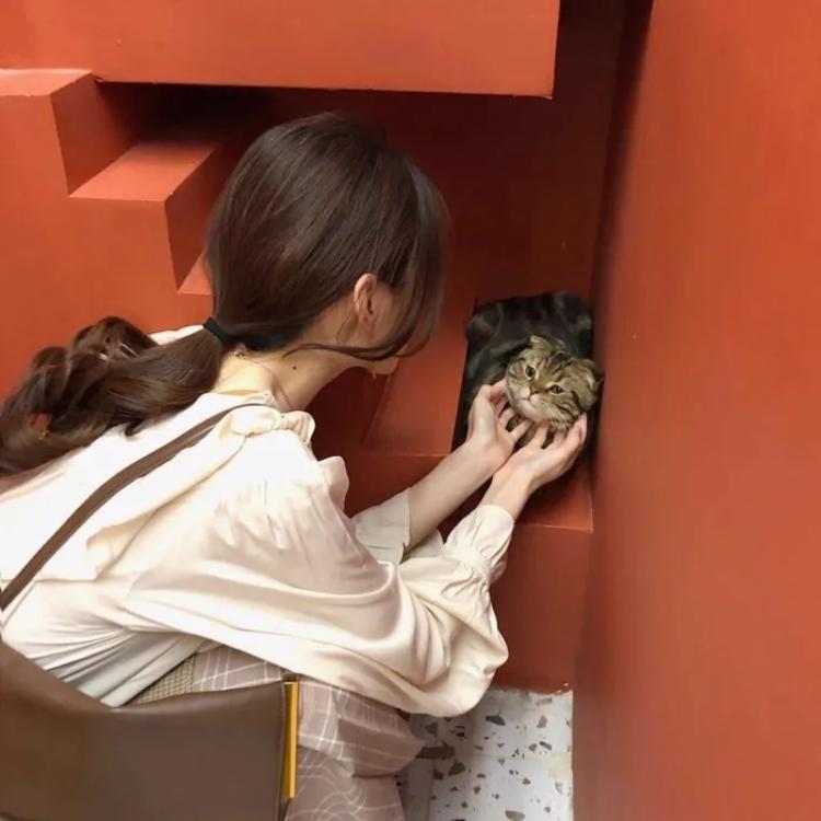 高本宣弘 - 绝母1一6全集动漫在线播放15 - 客户端观看